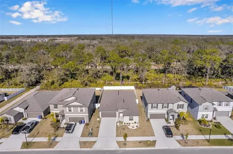 12963 Wildflower Meadow Drive Riverview FL 33579