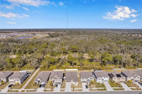 12963 Wildflower Meadow Drive Riverview FL 33579