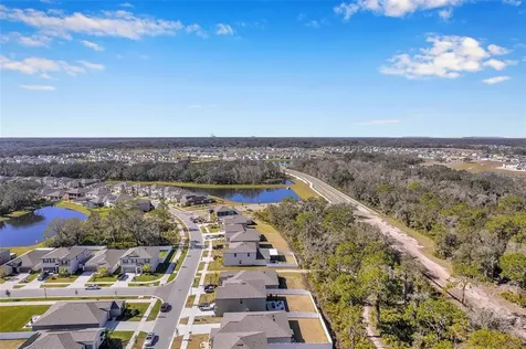 12963 Wildflower Meadow Drive Riverview FL 33579