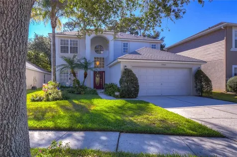 13443 Staghorn Road Tampa FL 33626