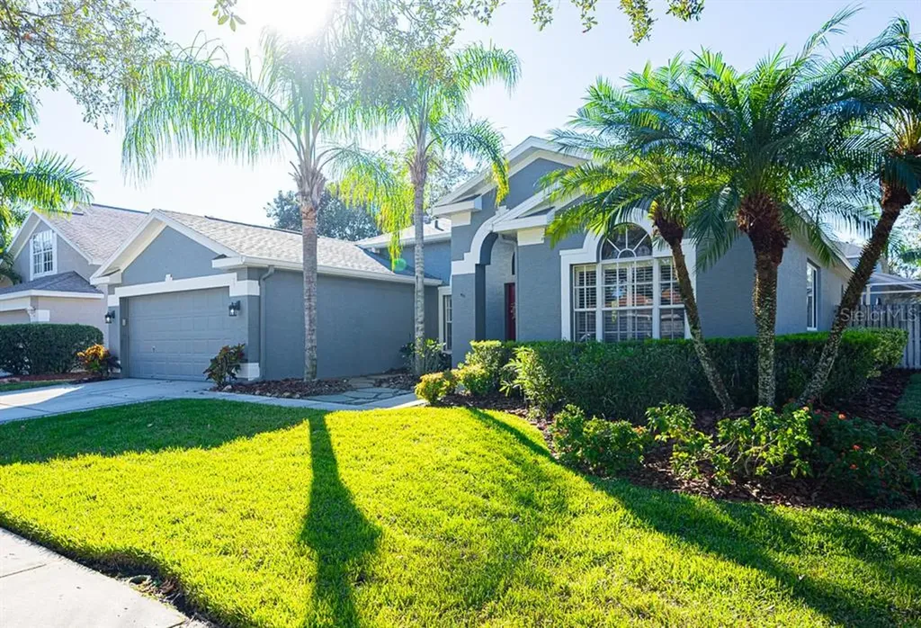 10650 Weybridge Drive Tampa FL 33626