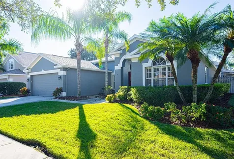 10650 Weybridge Drive Tampa FL 33626