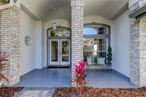 4654 Juniper Drive Palm Harbor FL 34685