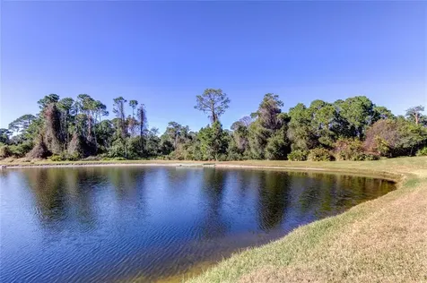 4654 Juniper Drive Palm Harbor FL 34685