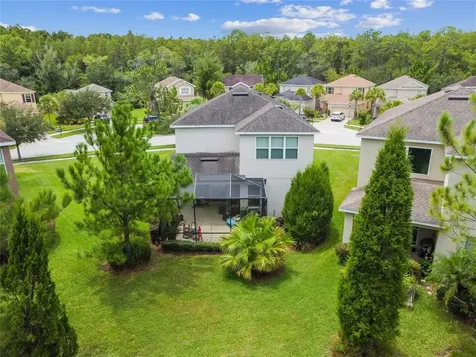 16019 Bella Woods Drive Tampa FL 33647