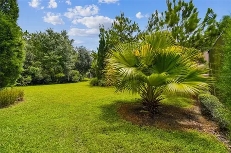16019 Bella Woods Drive Tampa FL 33647