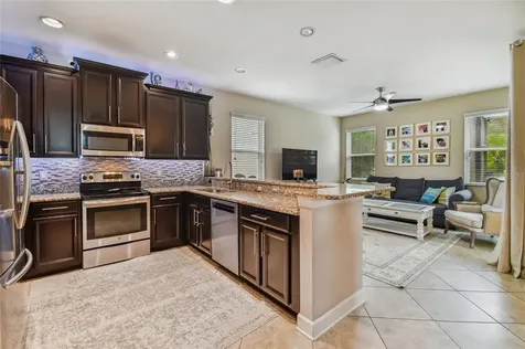 16019 Bella Woods Drive Tampa FL 33647