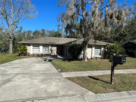 2821 Longleaf Lane Palm Harbor FL 34684
