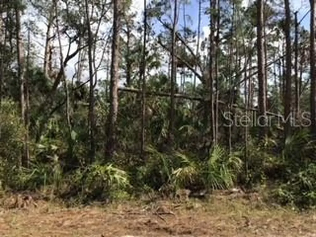 Ripley Street North Port FL 34286