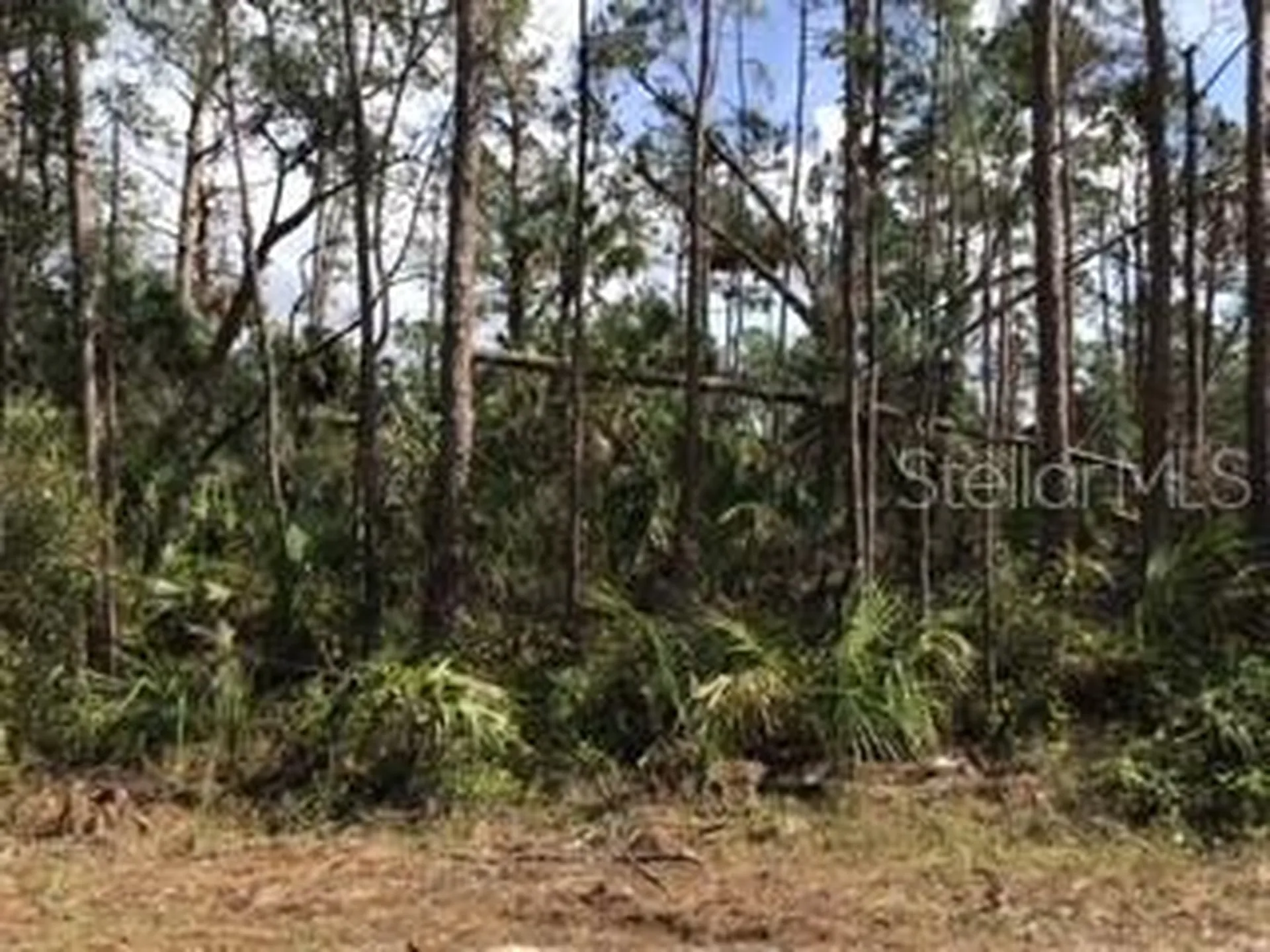 Ripley Street North Port FL 34286