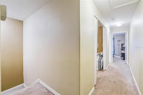 6331 Maisie Road Zephyrhills FL 33542