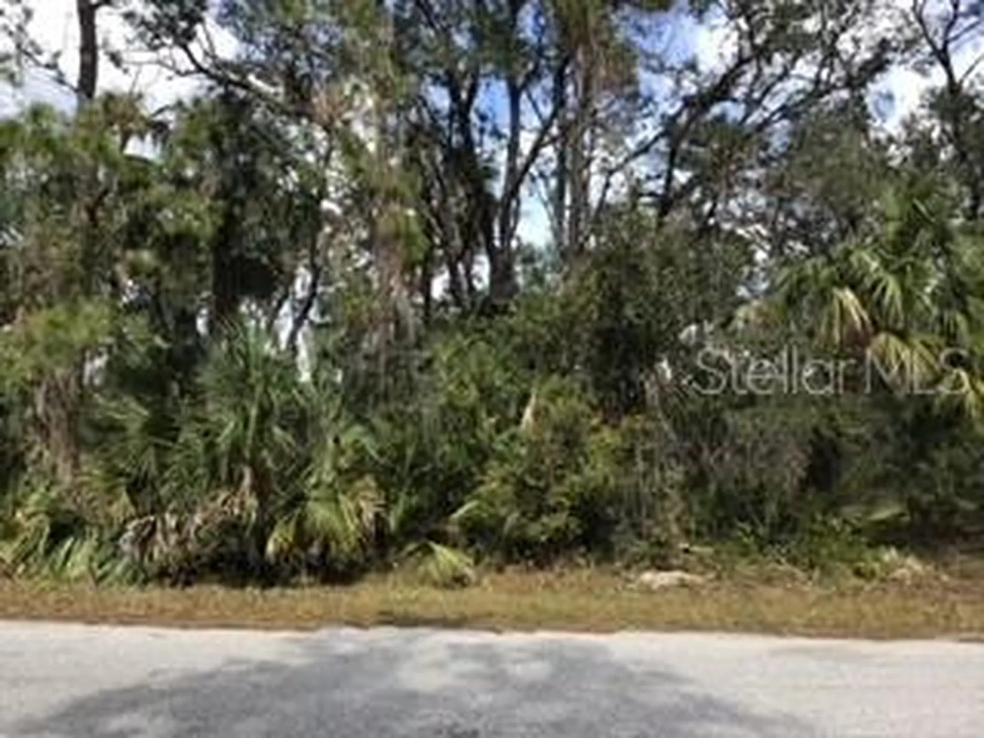Lagrange Avenue North Port FL 34286