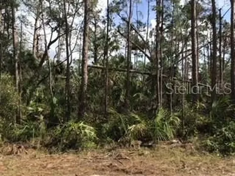 Lolly Road North Port FL 34286