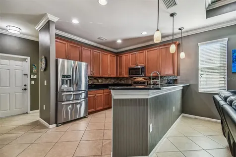 19420 Red Sky Court Land O Lakes FL 34638
