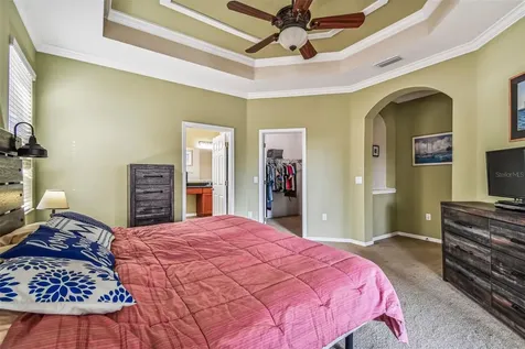 19420 Red Sky Court Land O Lakes FL 34638