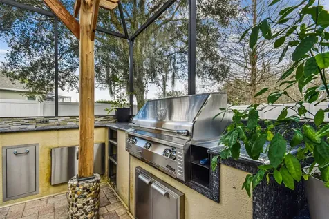 19420 Red Sky Court Land O Lakes FL 34638