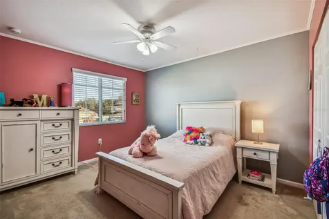 19420 Red Sky Court Land O Lakes FL 34638