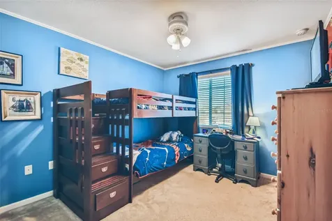 19420 Red Sky Court Land O Lakes FL 34638