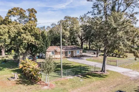 3307 Red Ruffle Lane Dover FL 33527