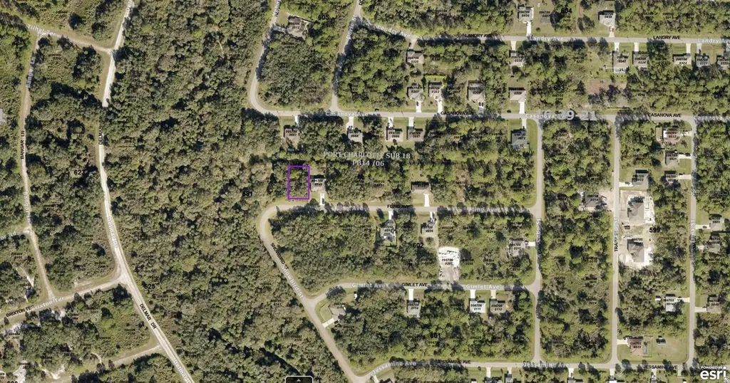 0967058148 Fling Avenue North Port FL 34291