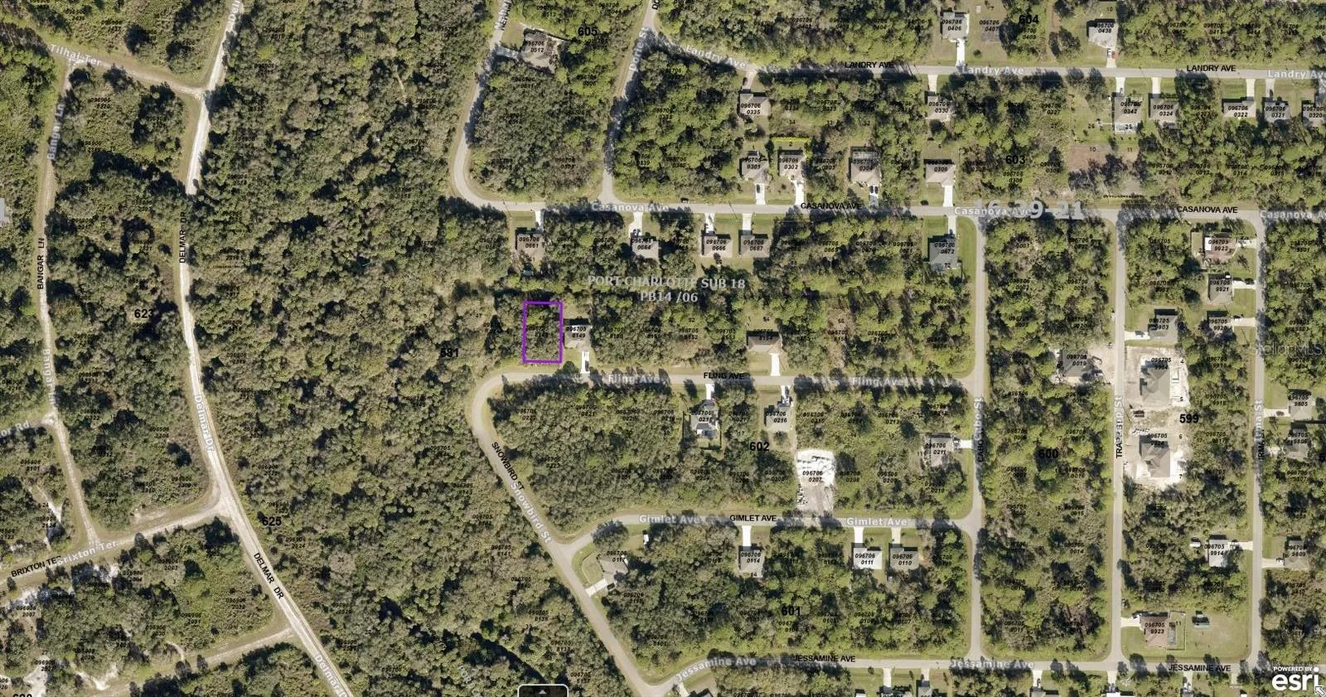 0967058148 Fling Avenue North Port FL 34291