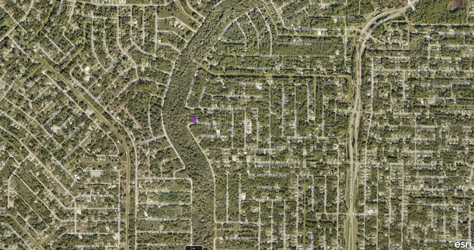 0967058148 Fling Avenue North Port FL 34291