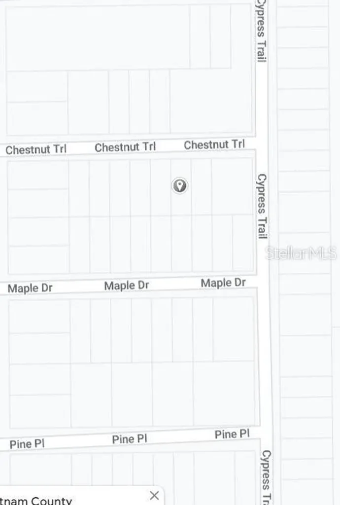 00 Chestnut Trail Interlachen FL 32148