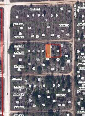 00 Chestnut Trail Interlachen FL 32148