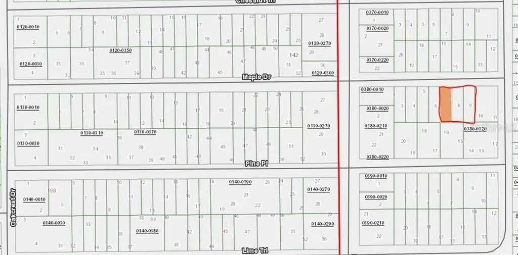 Maple Drive Interlachen FL 32148