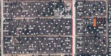 Maple Drive Interlachen FL 32148