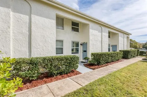 4522 La Carmen Court Tampa FL 33611
