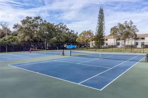 4522 La Carmen Court Tampa FL 33611