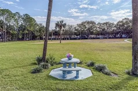4522 La Carmen Court Tampa FL 33611