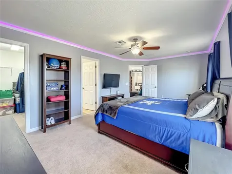 5802 Candytuft Place Land O Lakes FL 34639