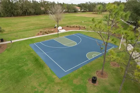 5802 Candytuft Place Land O Lakes FL 34639