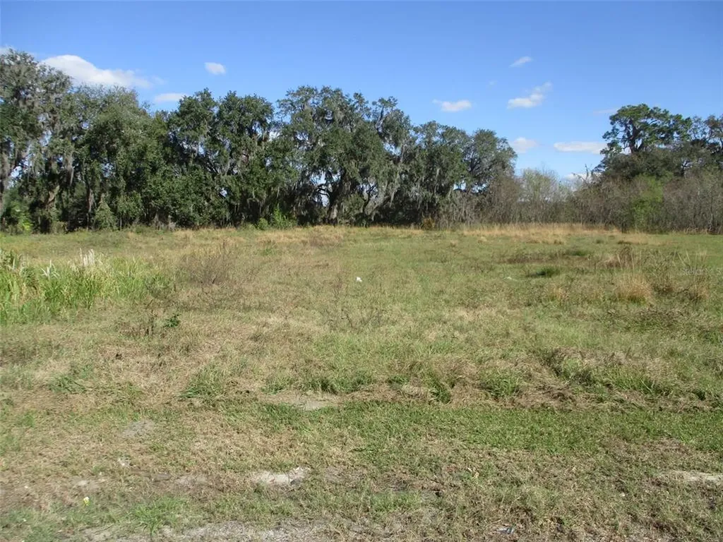 2835 Mystic Oaks Drive Plant City FL 33563