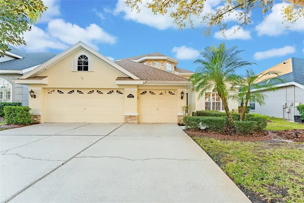 11328 Minaret Drive Tampa FL 33626