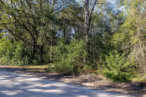 200 SW 156th Court Ocala FL 34481
