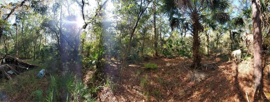 8738 Lindy Lane New Port Richey FL 34655