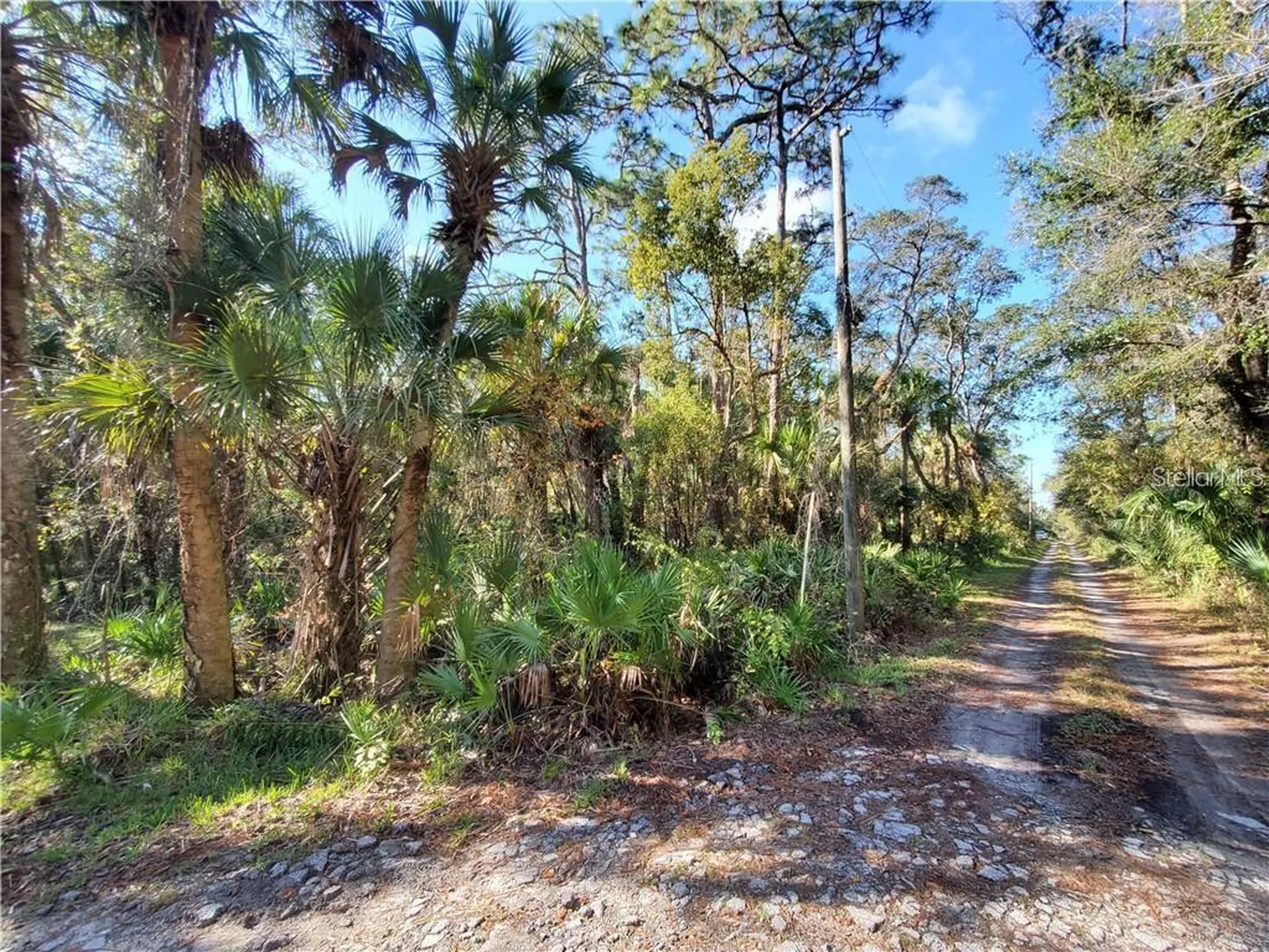 8738 Lindy Lane New Port Richey FL 34655