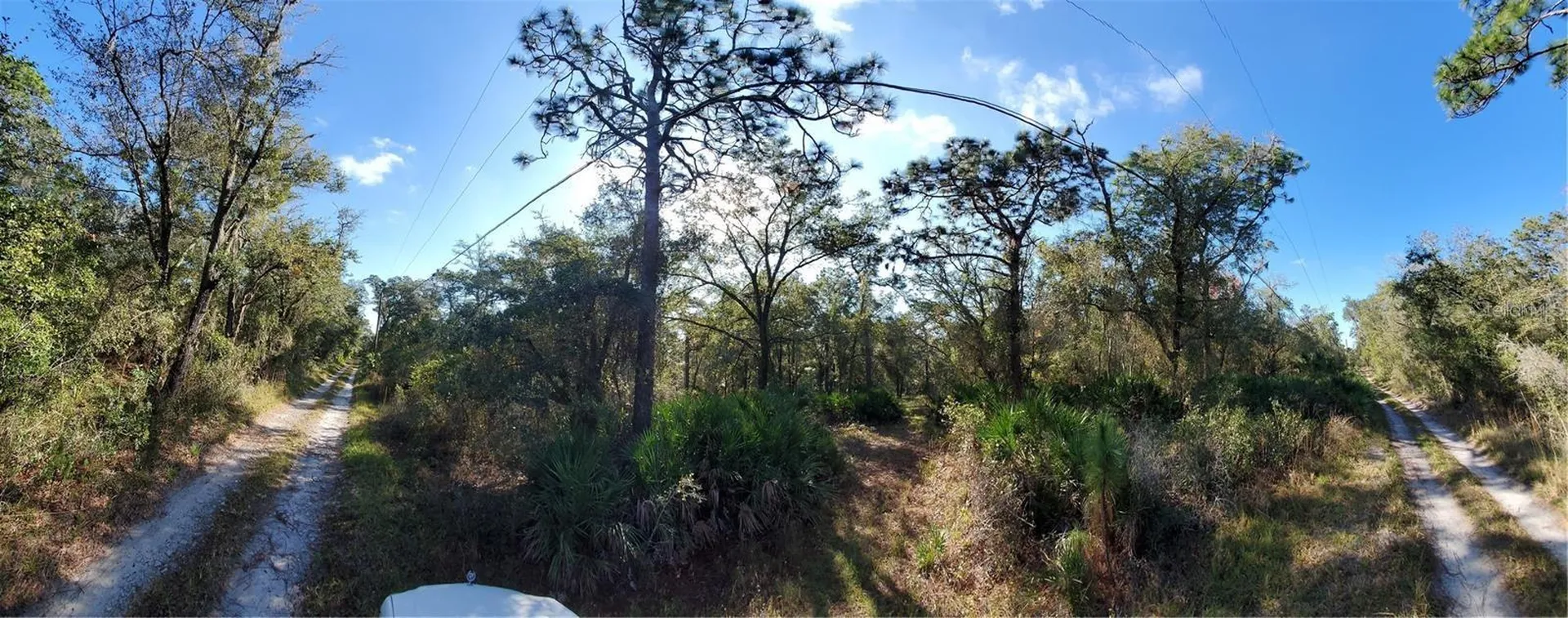 8738 Lindy Lane New Port Richey FL 34655
