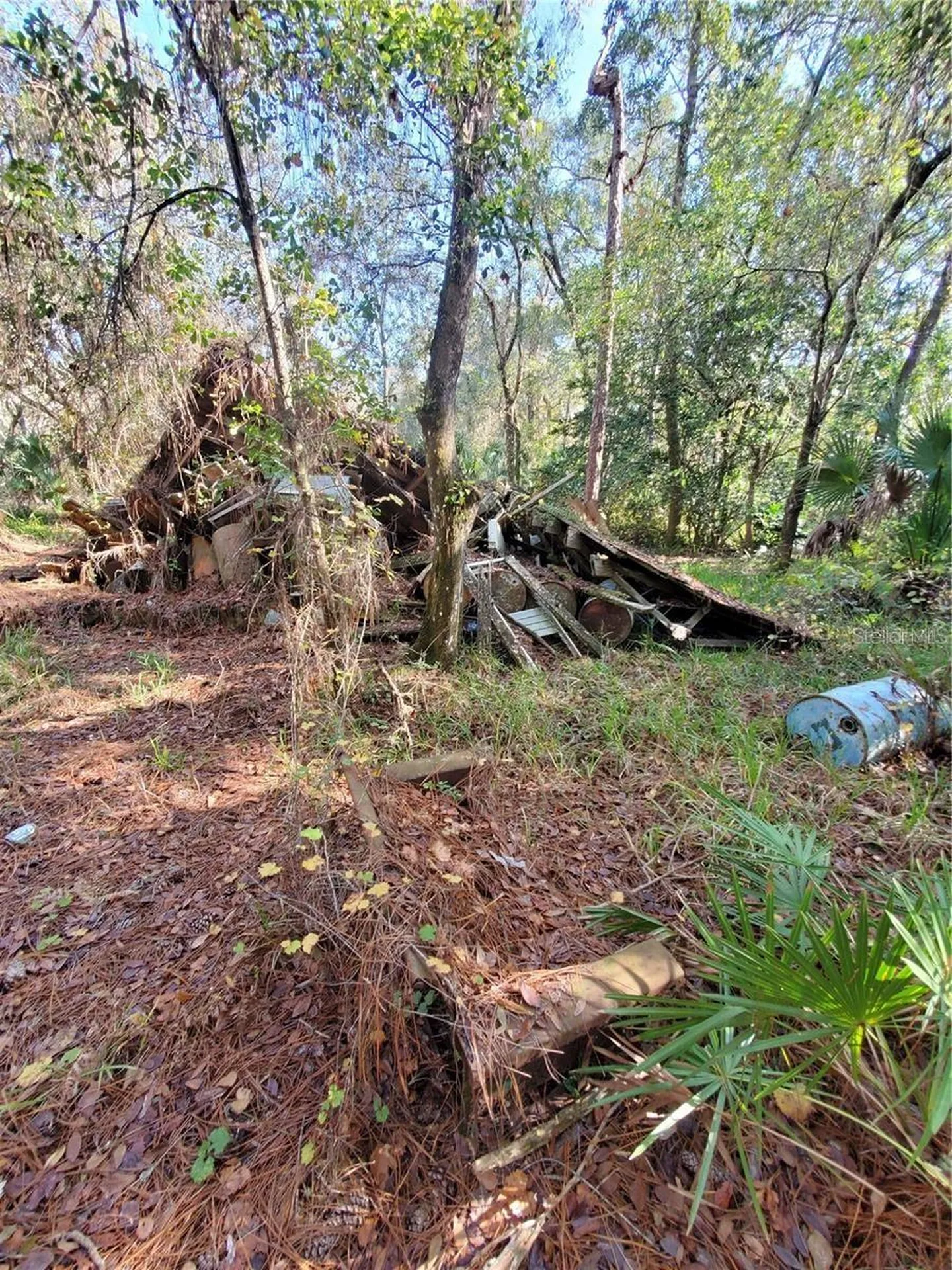8738 Lindy Lane New Port Richey FL 34655