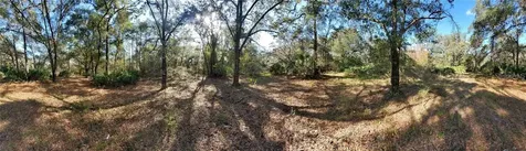 8738 Lindy Lane New Port Richey FL 34655