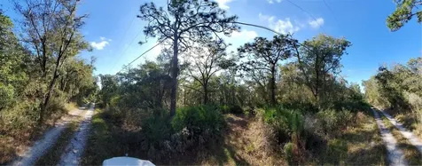 8738 Lindy Lane New Port Richey FL 34655