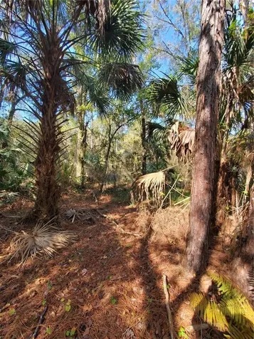 8738 Lindy Lane New Port Richey FL 34655
