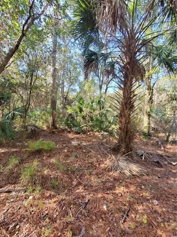 8738 Lindy Lane New Port Richey FL 34655