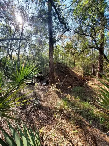 8738 Lindy Lane New Port Richey FL 34655