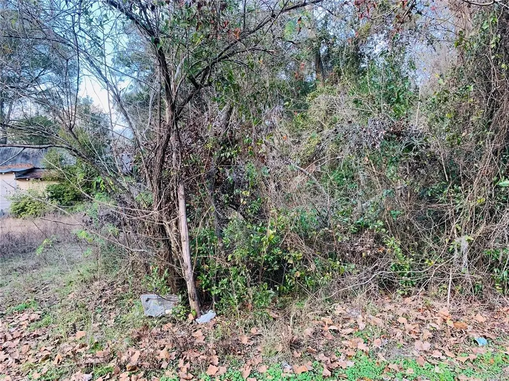 1049 SE 23rd Street Gainesville FL 32641