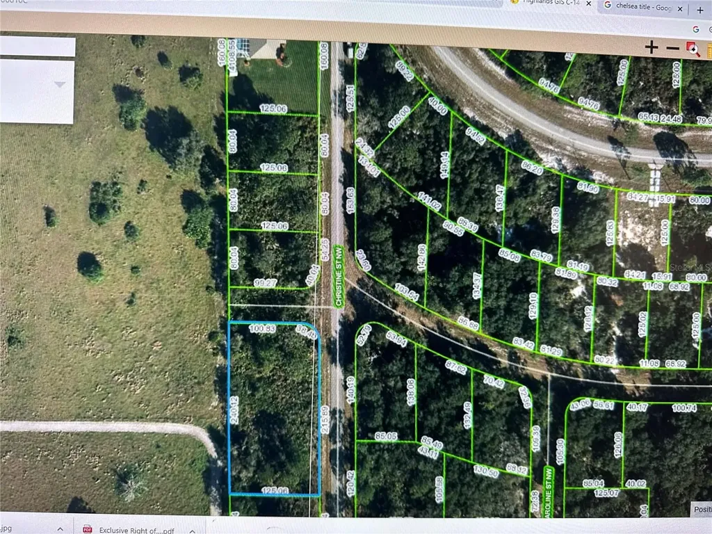 316 Christine Street NW Lake Placid FL 33852