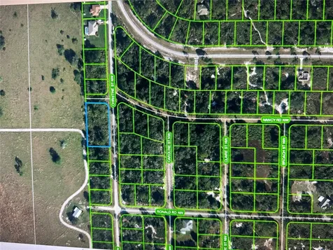 316 Christine Street NW Lake Placid FL 33852